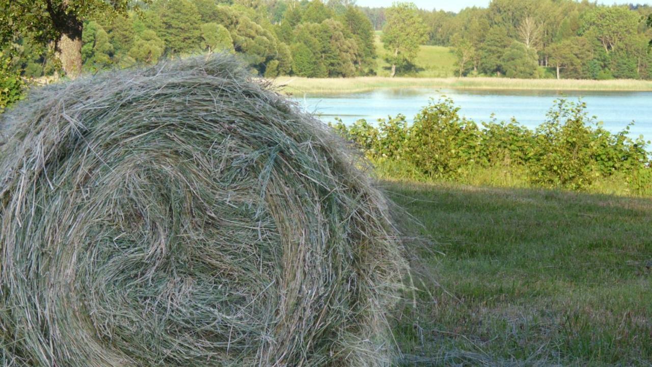 Siedlisko